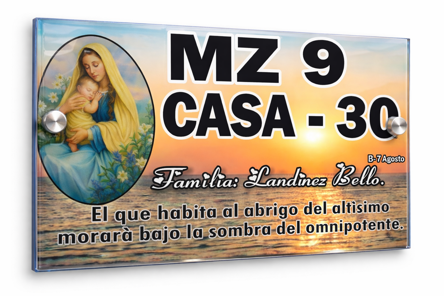 Placa De Dirección Modelo C-10