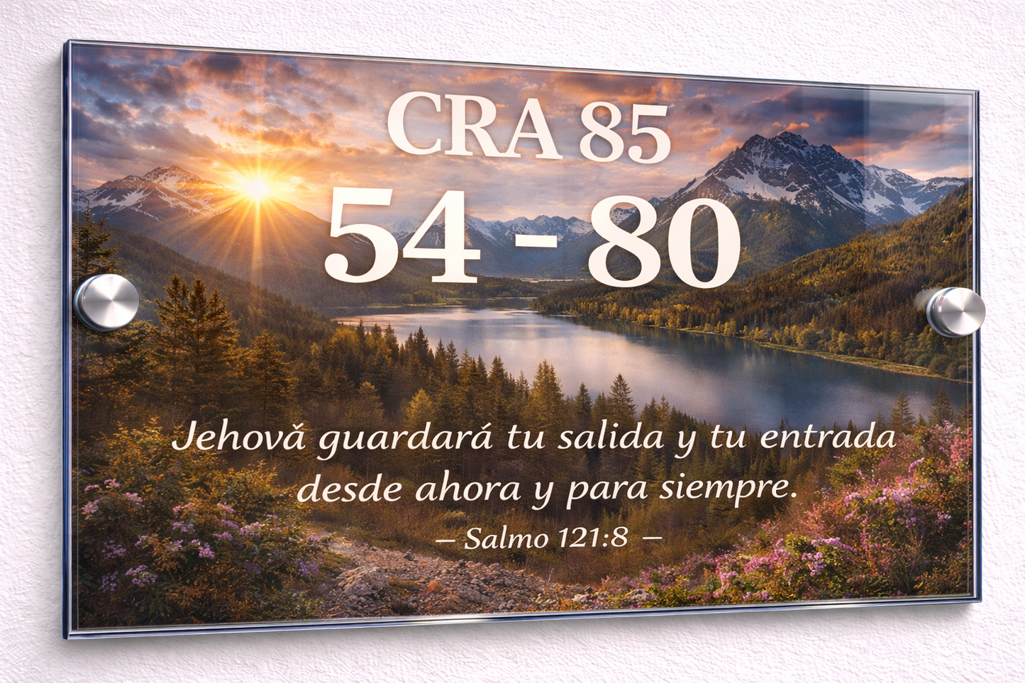 Placa De Dirección Modelo C-25