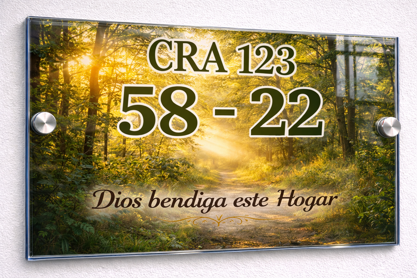 Placa De Dirección Modelo C-19