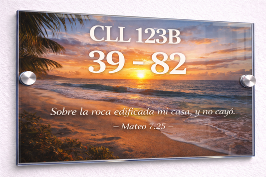Placa De Dirección Modelo C-26