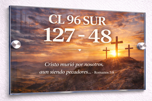 Placa De Dirección Modelo C-29