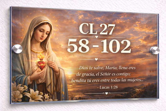 Placa De Dirección Modelo C-32
