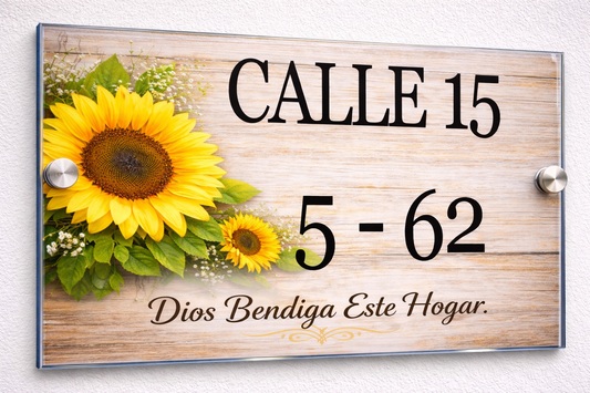 Placa De Dirección Modelo C-15