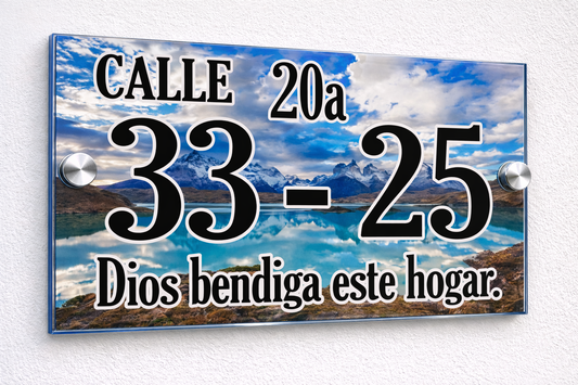 Placa De Dirección Modelo C-12