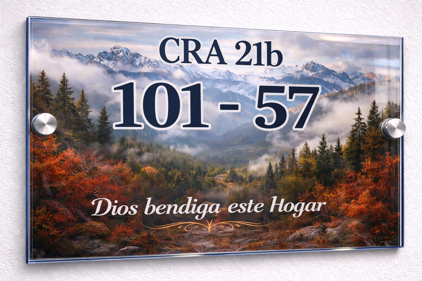 Placa De Dirección Modelo C-21