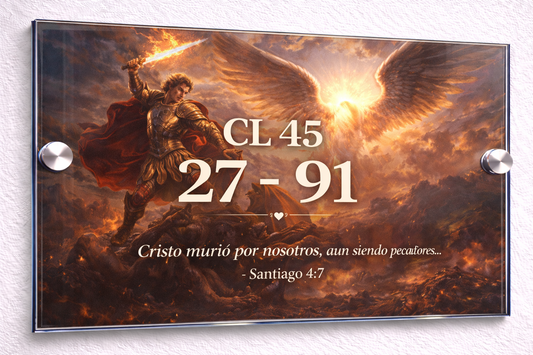 Placa De Dirección Modelo C-30