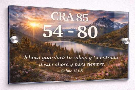 Placa De Dirección Modelo C-25