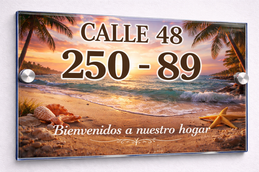 Placa De Dirección Modelo C-20