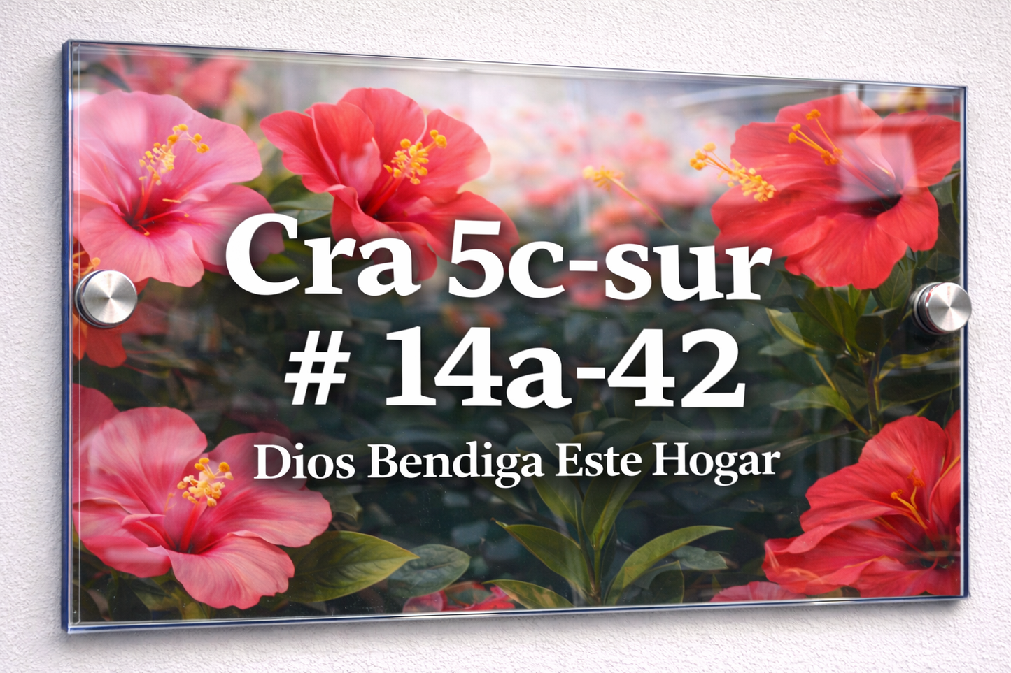 Placa De Dirección Modelo C-16