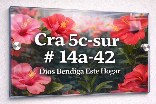 Placa De Dirección Modelo C-16